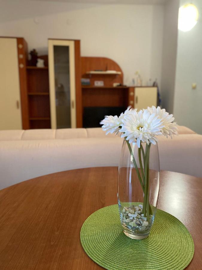 Apartments Mandarina Garden Petrovac Exterior foto